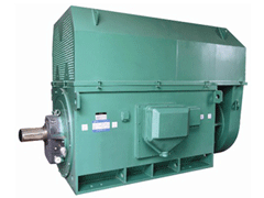 Y3552-4/250KWY系列6KV高压电机